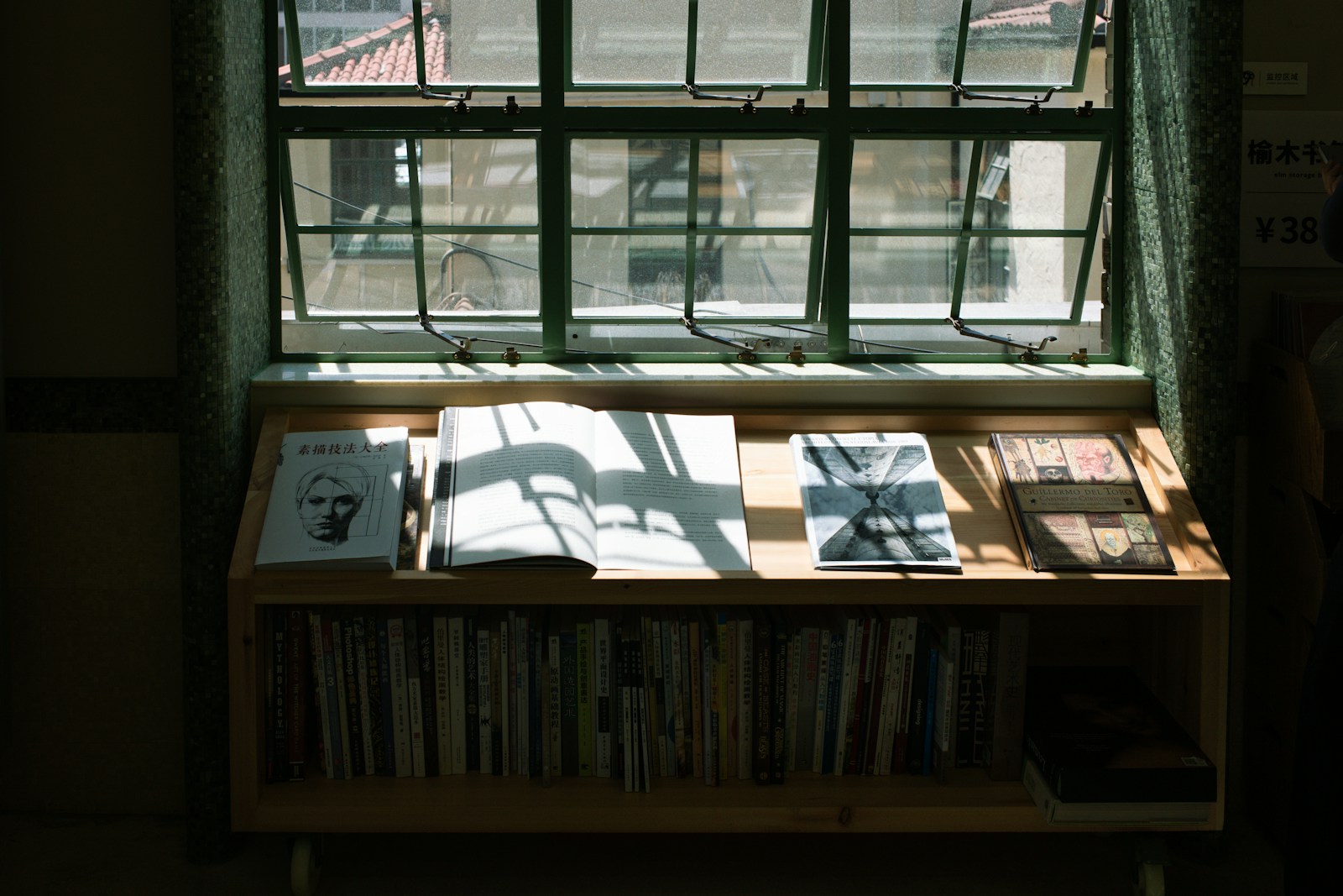 Books laid out in warm window light on a wooden shelf
